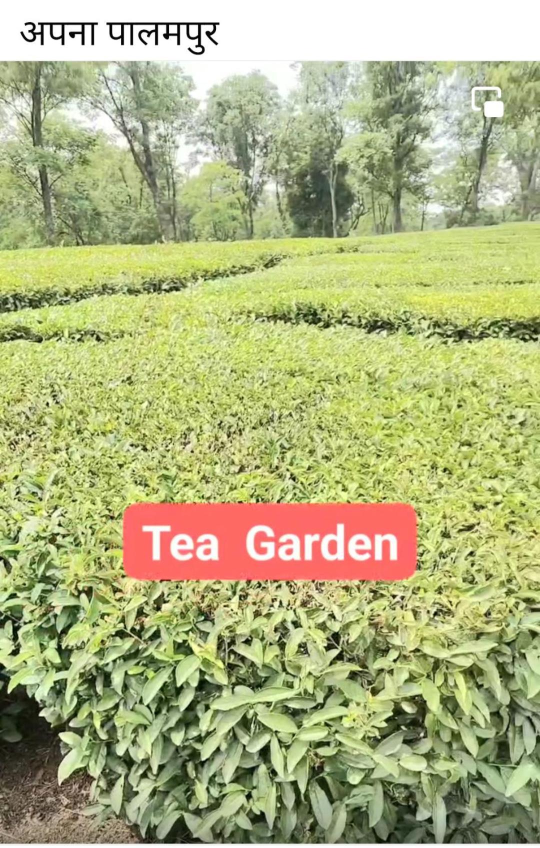 Tirthan Crest Homestay Banjār 외부 사진